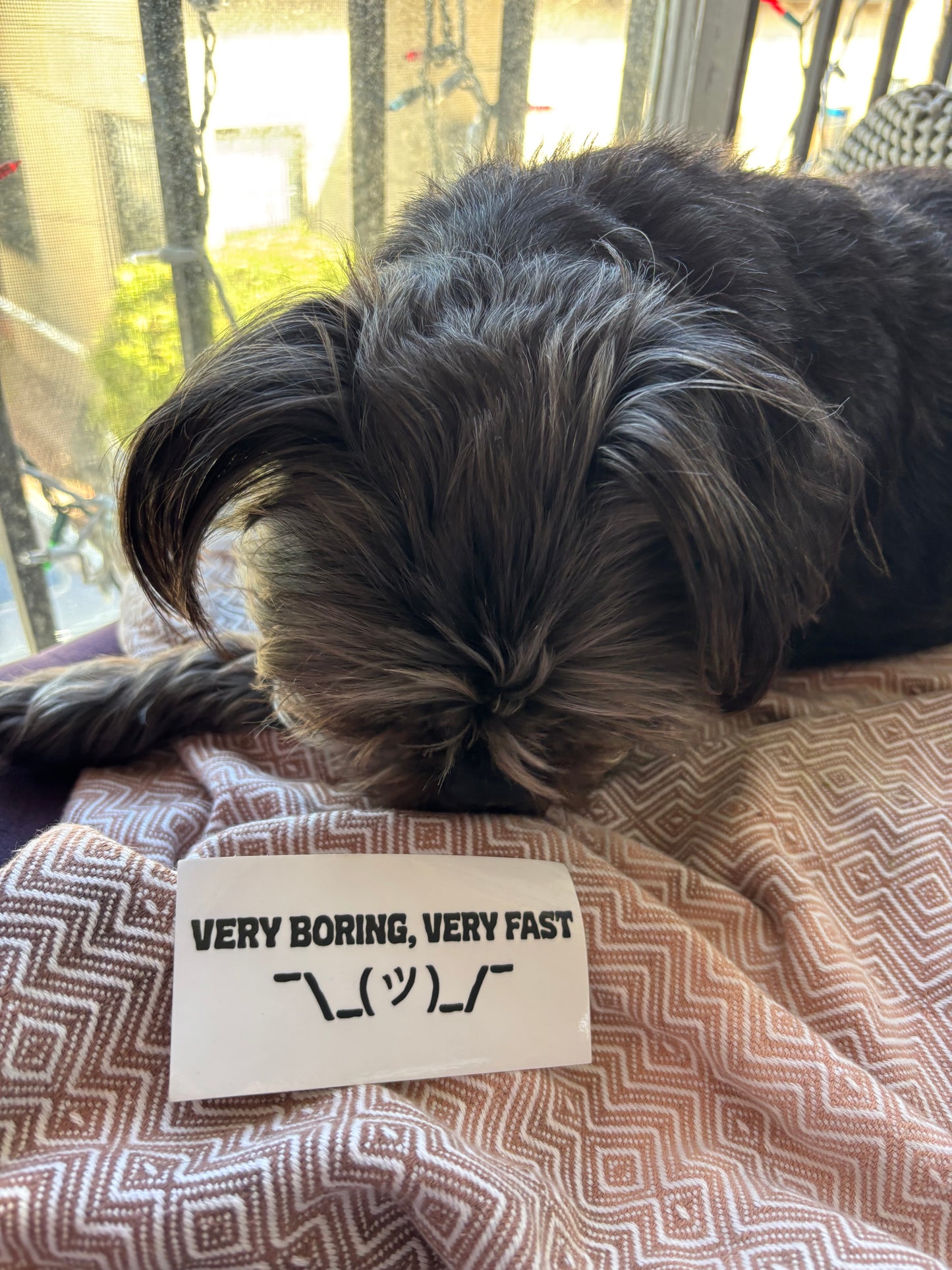 very boring, very fast ¯\_(ツ)_/¯ sticker