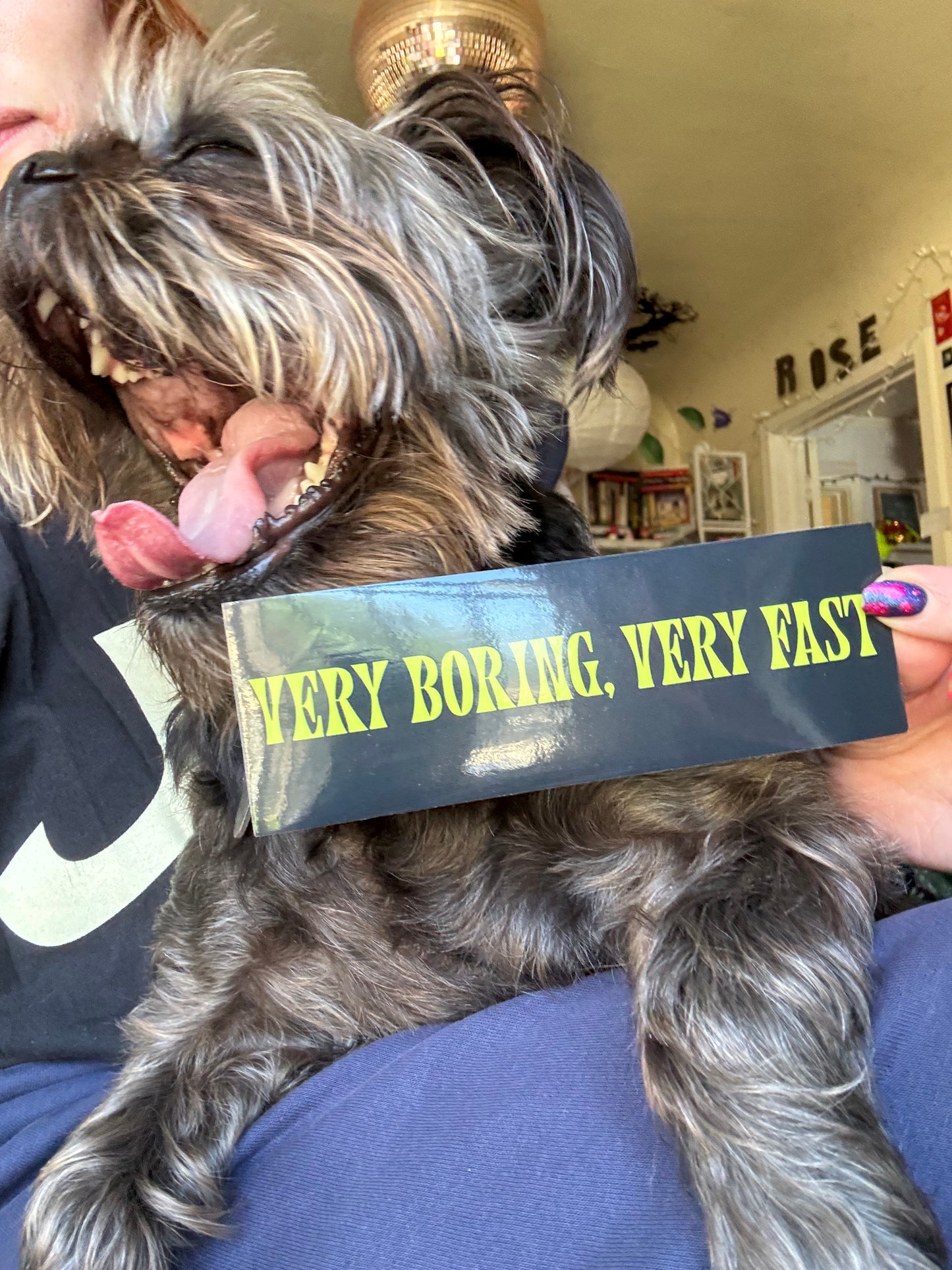 very boring, very fast sticker