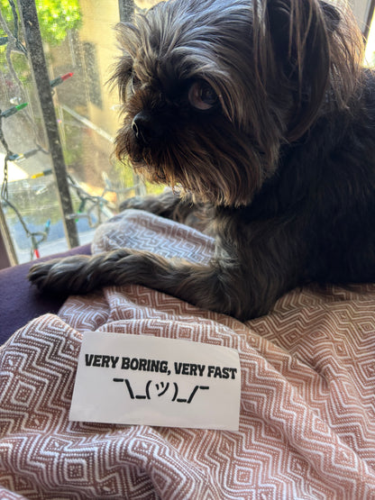 very boring, very fast ¯\_(ツ)_/¯ sticker